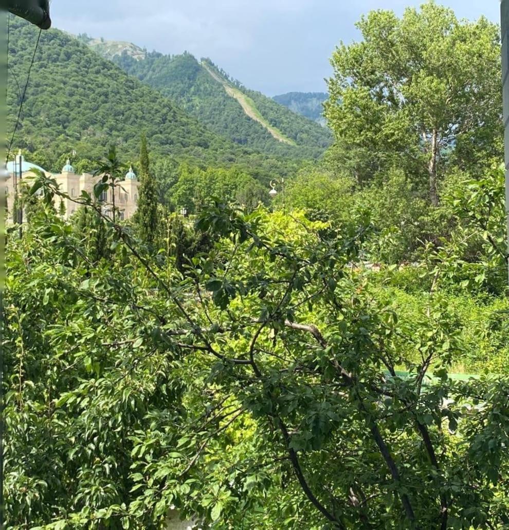 Panoramic Tufandag Family Apartment Gabala Luaran gambar